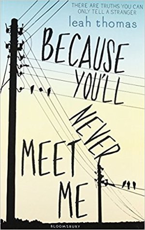 Because you'll never meet me book cover