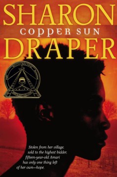 Copper sun book cover