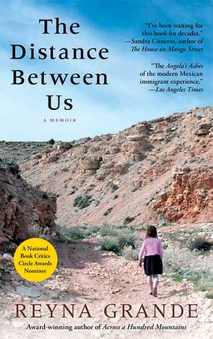 The distance between us book cover