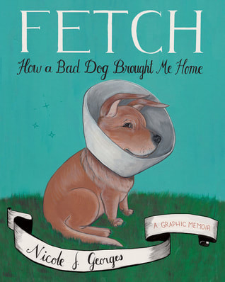 Fetch book cover