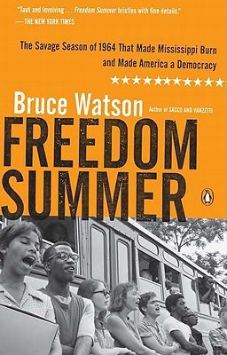 Freedom summer book cover