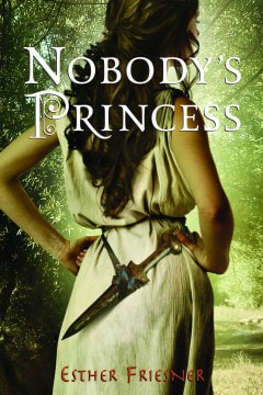 Nobody's princess book cover