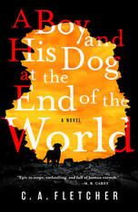 A boy and his dog at the end of the world book cover