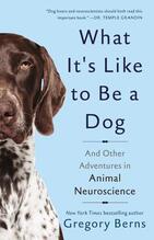 What it's like to be a dog book cover