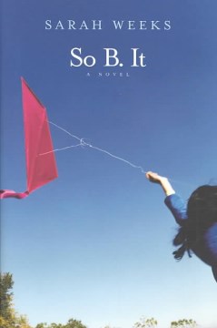 So B. it book cover