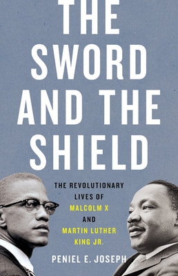 The sword and the shield book cover