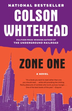 Zone one book cover